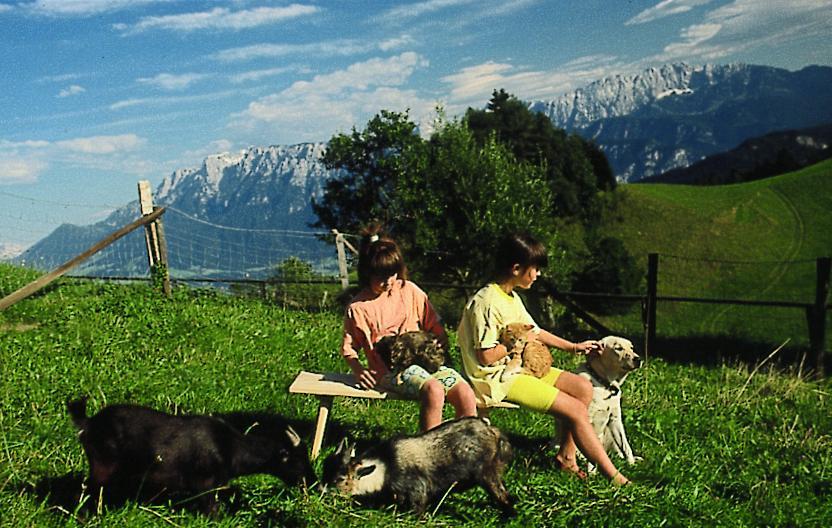 Berggasthof Bichlersee 奥博奥多夫 外观 照片